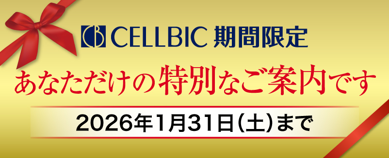 期間限定あたなだけの特別なご案内です