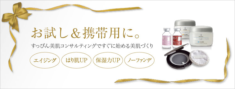 セルビック携帯用