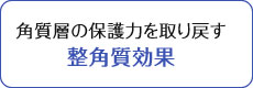 角質層の保護力を取り戻す整角質効果