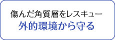 傷んだ角質層をレスキュー外的環境から守る。