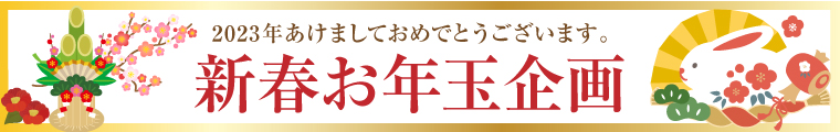 お正月キャンペーン