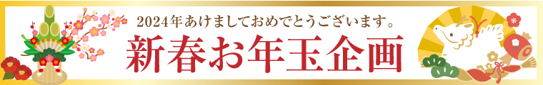 お正月キャンペーン