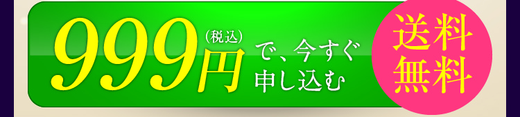 999円（税込）で今すぐ申し込む　送料無料