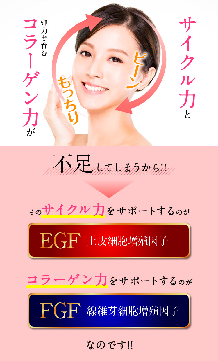 サイクル力と弾力を育むコラーゲン力が不足してしまうから!!そのサイクル力をサポートするのがEGF上皮細胞増殖因子コラーゲン力をサポートするのがFGF線維芽細胞増殖因子なのです!!