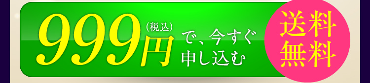 999円（税込）で今すぐ申し込む　送料無料