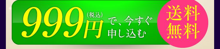 999円（税込）で今すぐ申し込む　送料無料