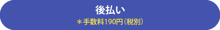 NP後払い*手数料190円(税別)