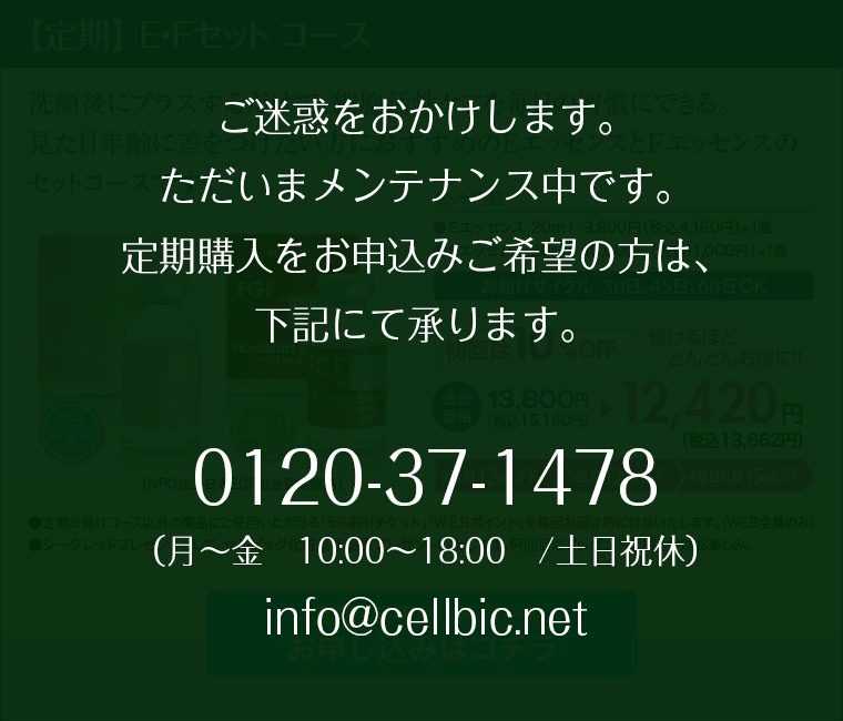 定期E/Fセットコース