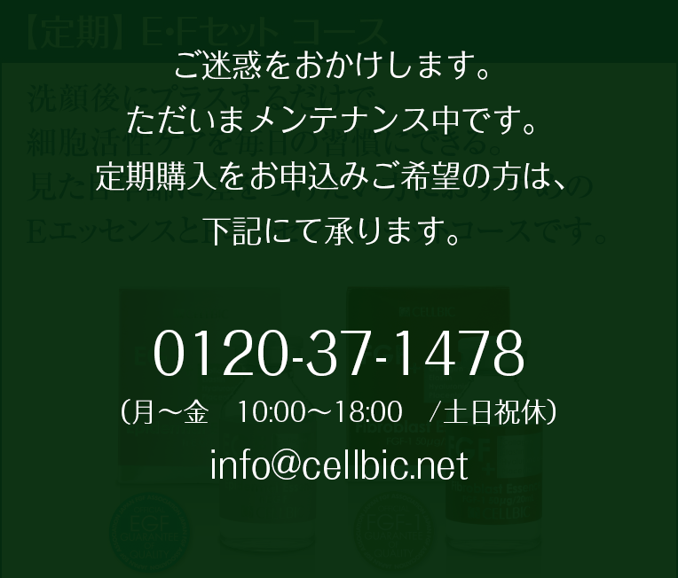 定期E/Fセットコース