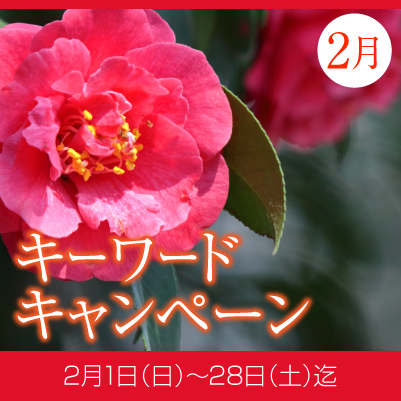 topbana_202602