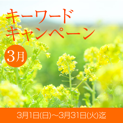 topbana_202602