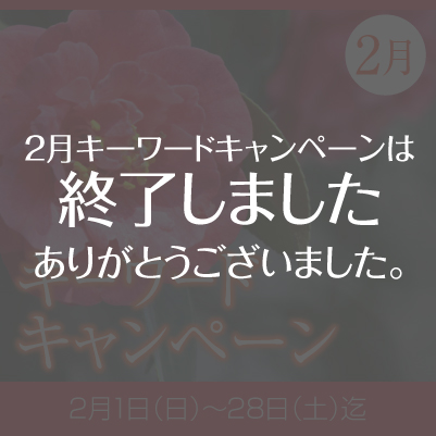 2026年2月『キーワードキャンペーン』スタート