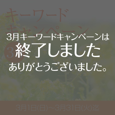2026年3月『キーワードキャンペーン』スタート