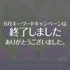 topbana_202606_end.jpg