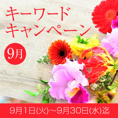 topbana_202608